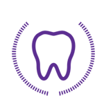 Purple Tooth Icon